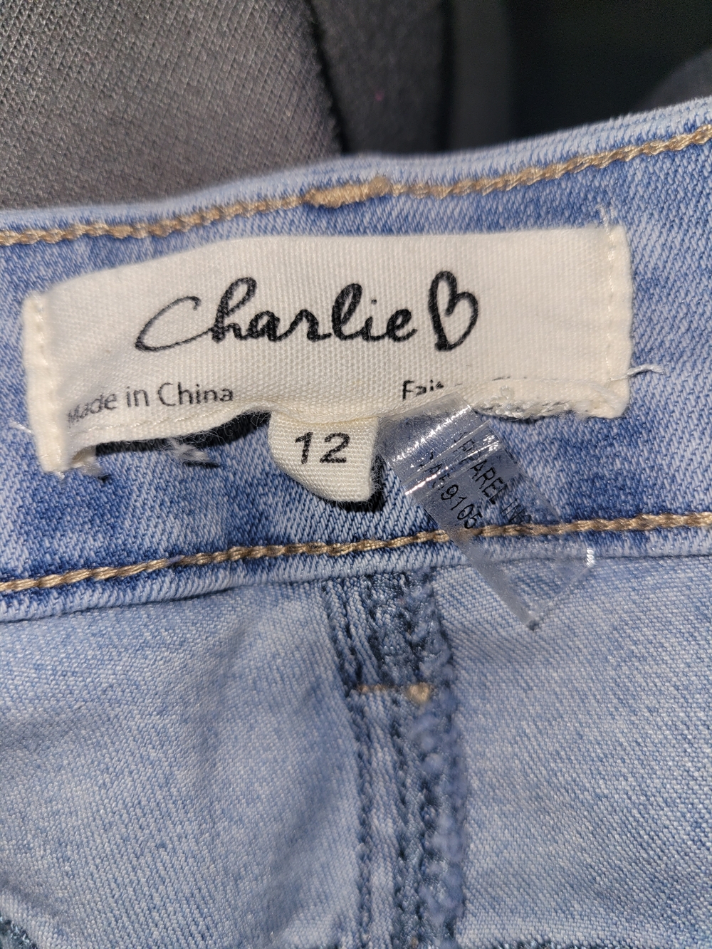CHARLIE B Light Blue Jeans with Multicolor Floral Embroidery - Picture 5 of 7